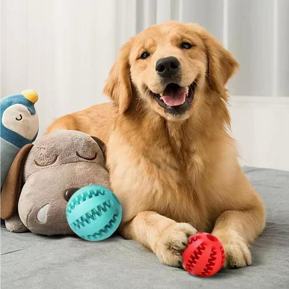 Durable Rubber Treat Ball for Dogs