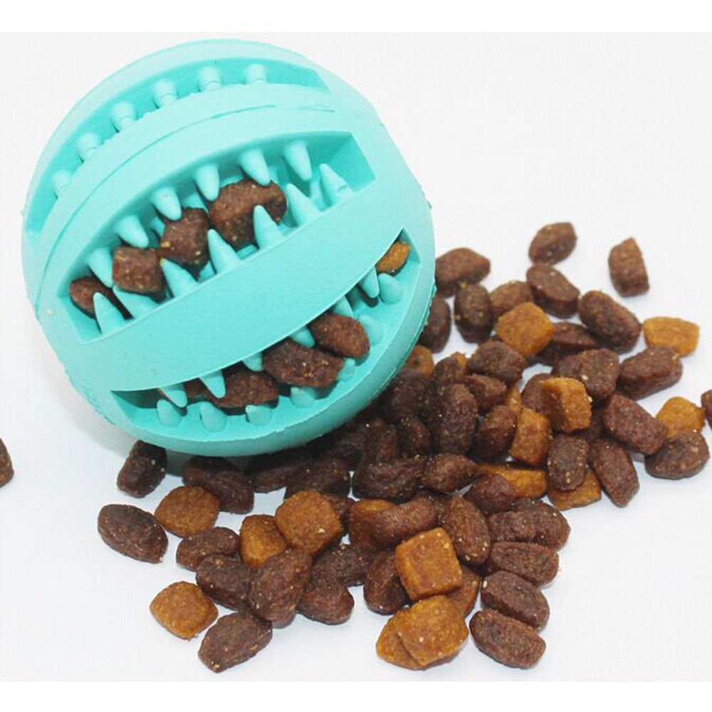 Minty Rubber Pet Feeding Ball