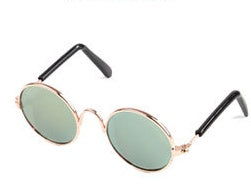Cool Pet Sunglasses for Cats