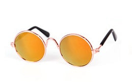 Cool Pet Sunglasses for Cats