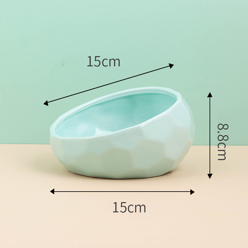 Ergonomic Slanted Pet Food Dish