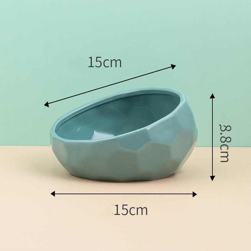 Ergonomic Slanted Pet Food Dish
