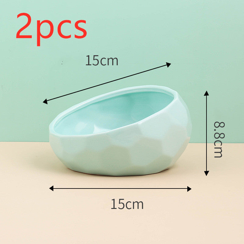 Ergonomic Slanted Pet Food Dish