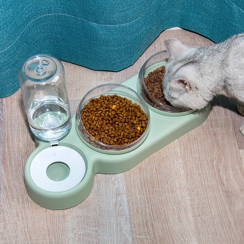 Automatic Pet Feeder & Bowl