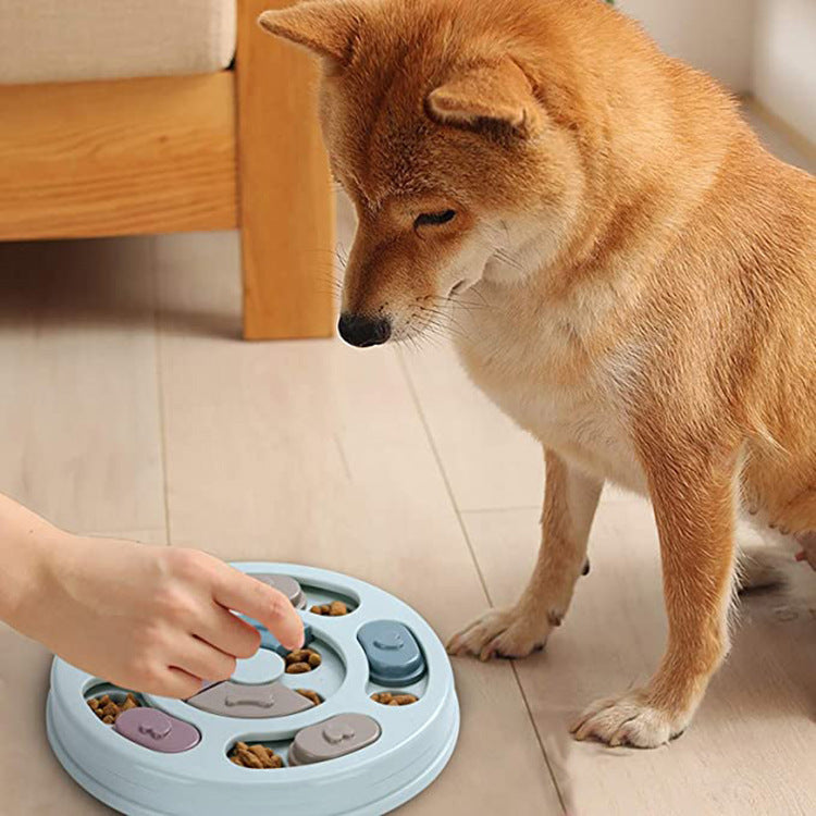 Slow Feed Dog Puzzle Bowl