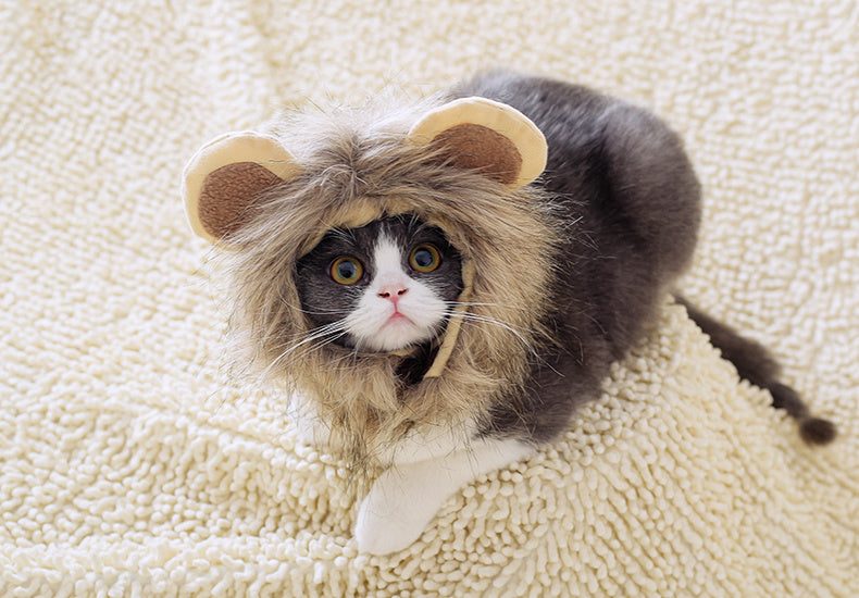 Cute Lion Mane Cat Hat