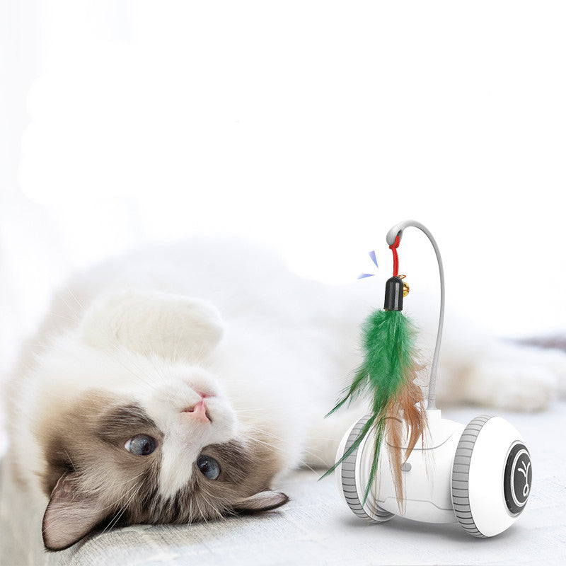 Versatile Feather Toy for Cats