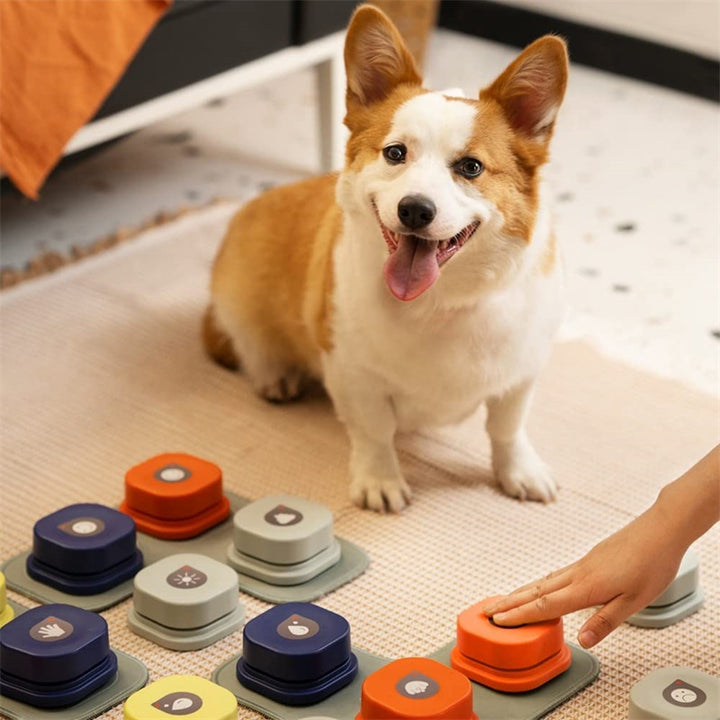 Talking Button Toy for Pets