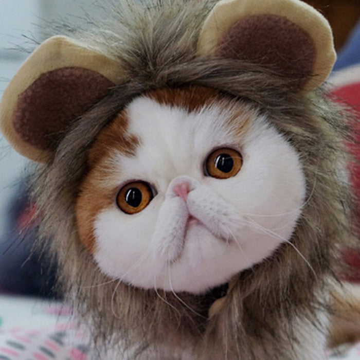 Lion headgear cat hat cute transformation decoration