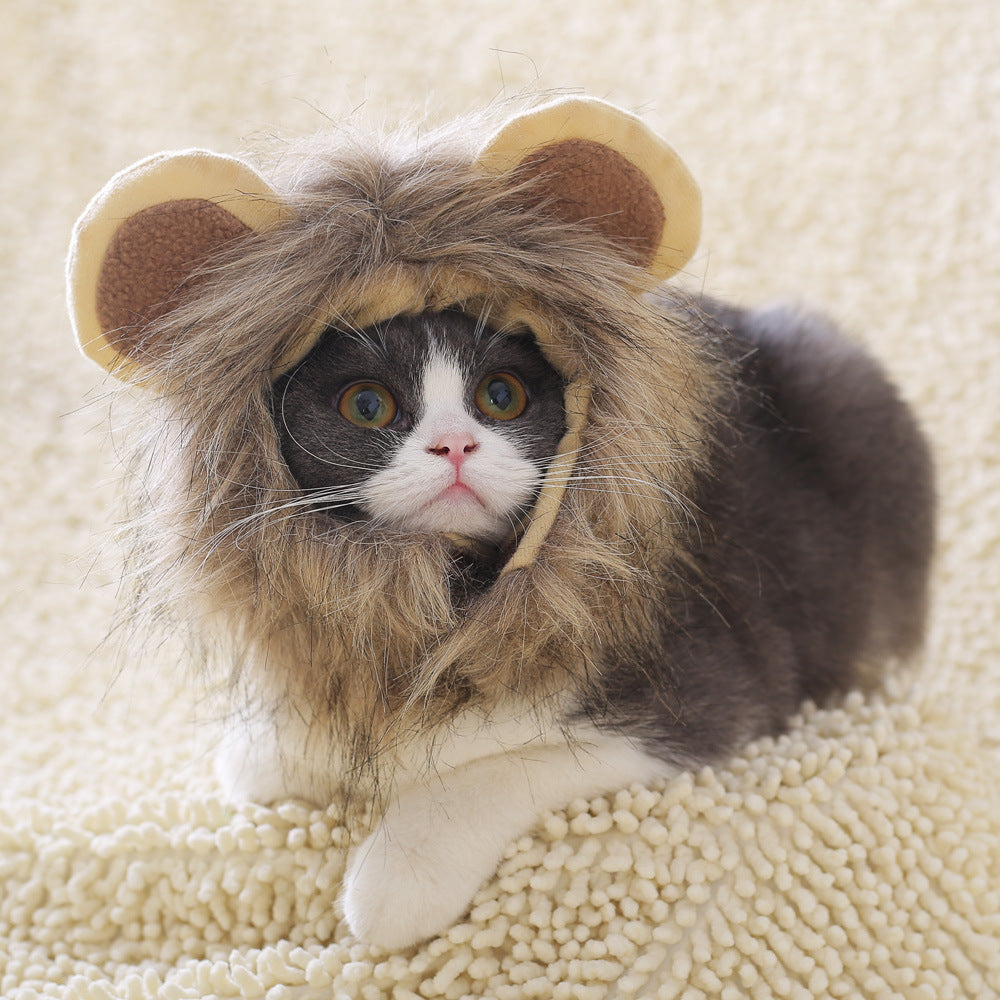 Lion headgear cat hat cute transformation decoration