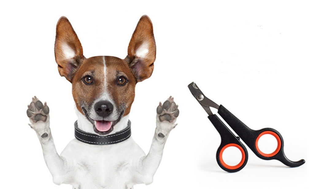 Dog Nail Clipper Pet Nail Scissors