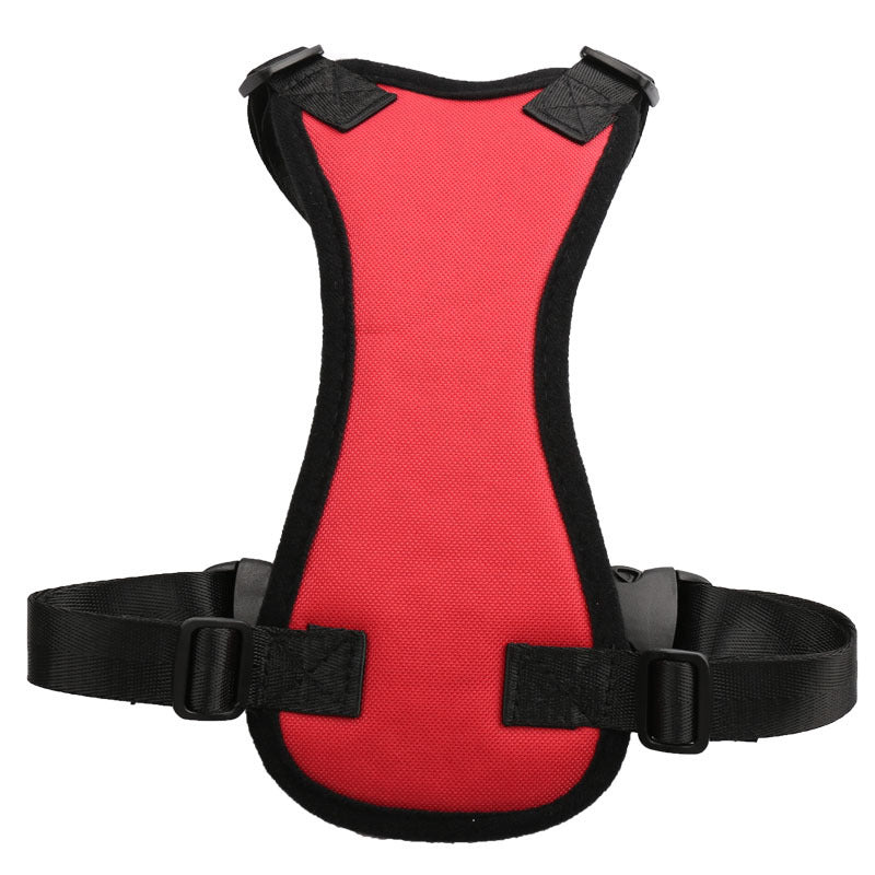 Car seat belts for pets