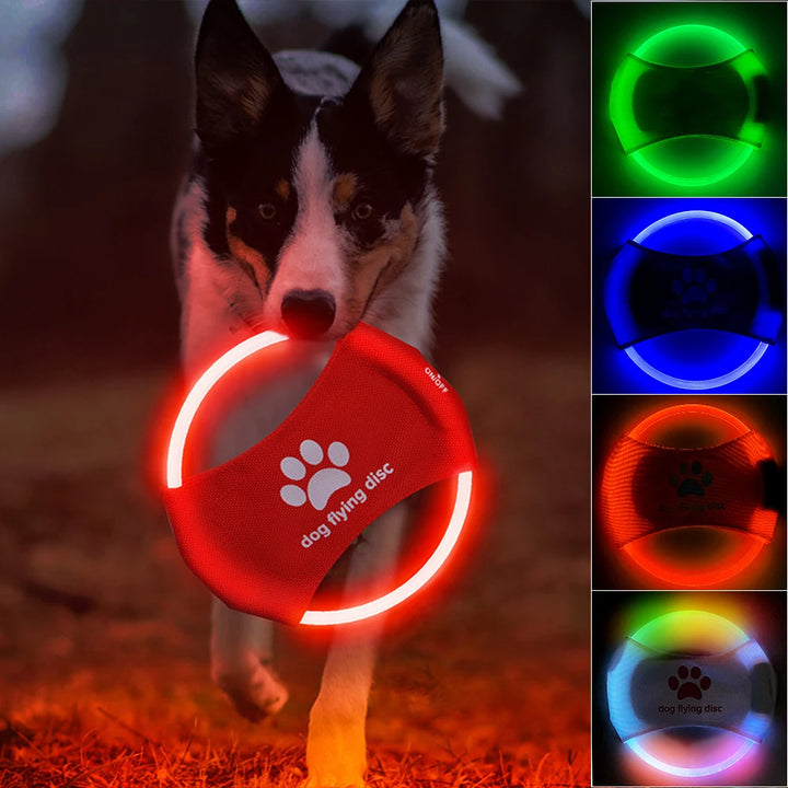 LED Glow Dog Flying Disc