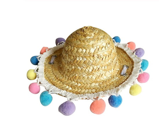 Cool Pet Sunglasses for Cats