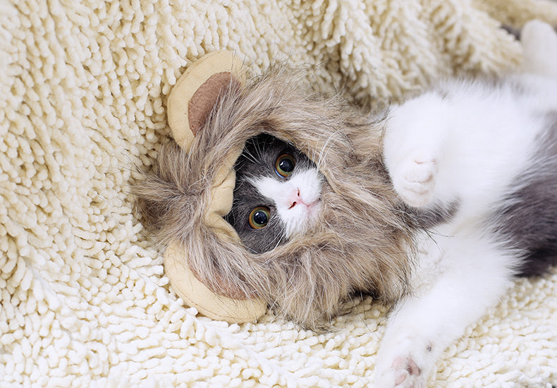 Cute Lion Mane Cat Hat