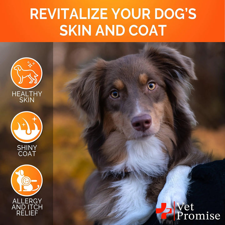 Skin & Coat Dog Supplement