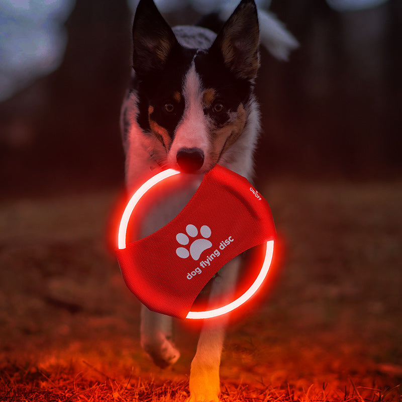 LED Glow Dog Flying Disc