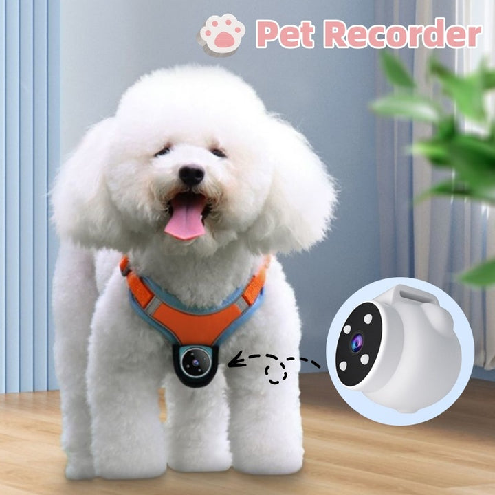 Pet Collar Camera with Night Vision