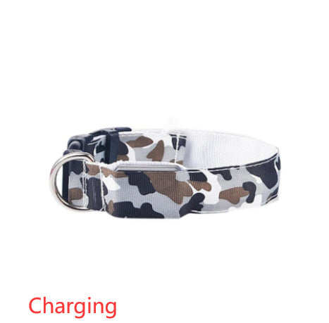 Camouflage pet supplies luminous collar