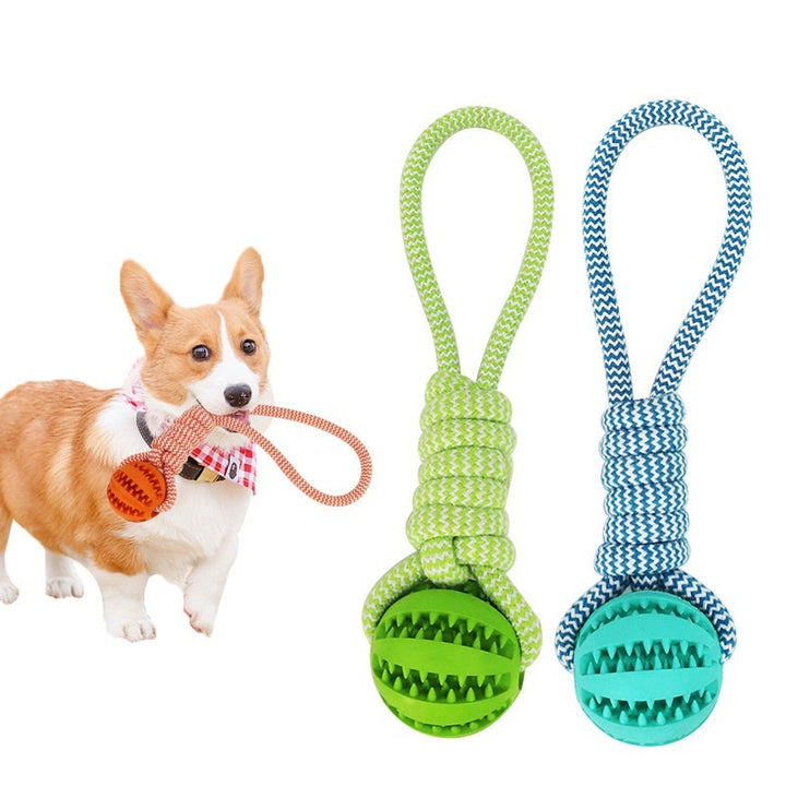 Durable Rubber Treat Ball for Dogs