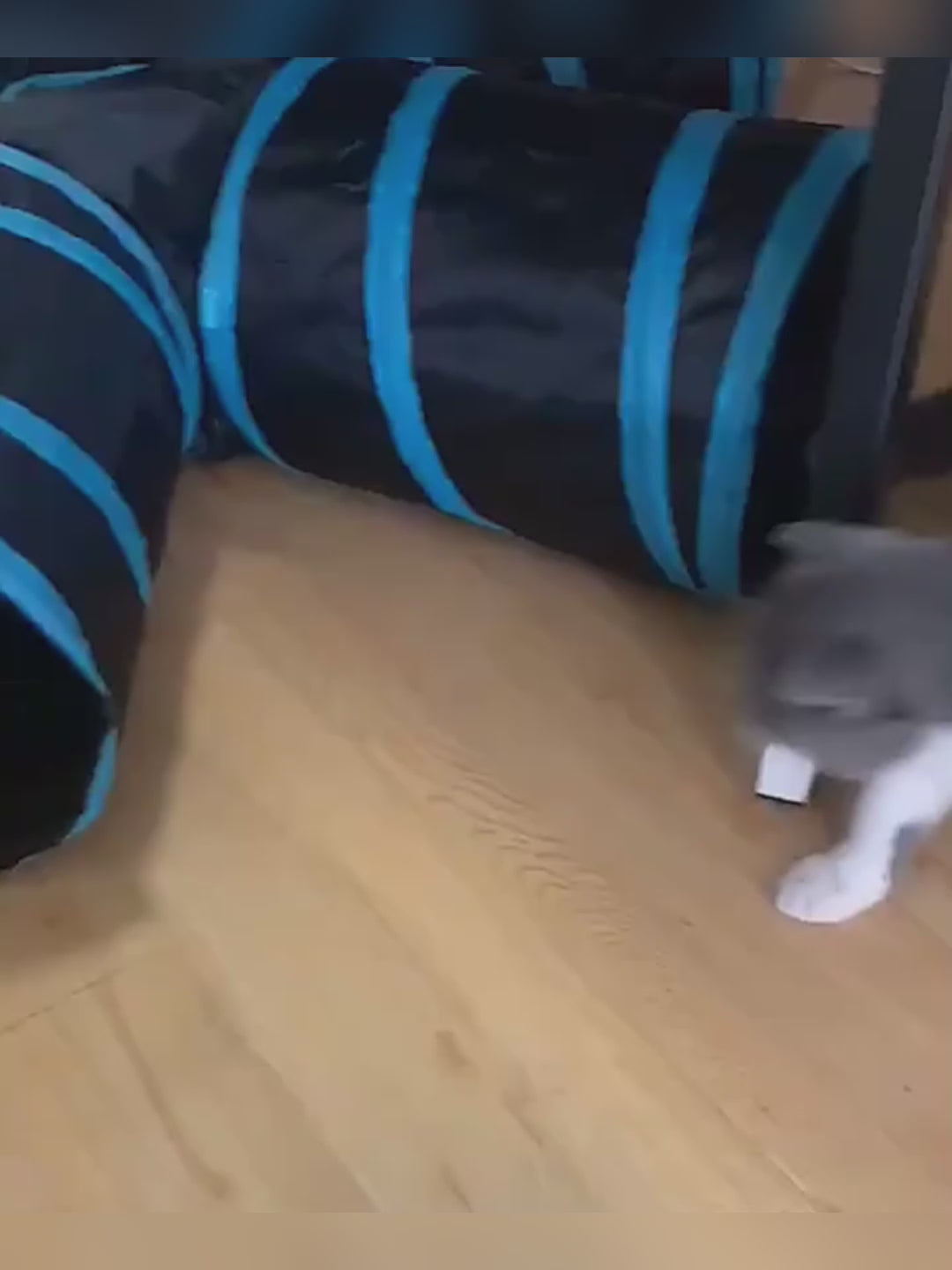 Tree-Themed Pet Tunnel Toy